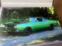 1969 Dodge Super Bee for sale in Michigan (ID-119273)