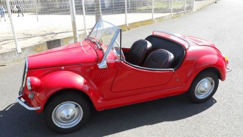 1969 Fiat Gamine for sale in Riverhead, New York (ID-125205)