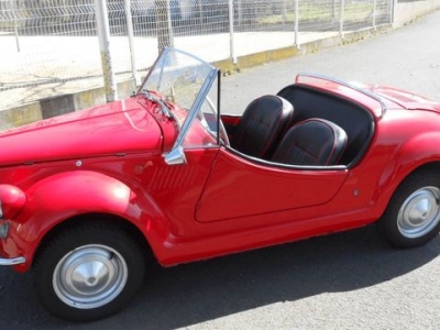 1969 Fiat Gamine for sale