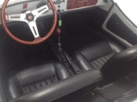 1969 Fiat Gamine for sale in Riverhead, New York (ID-125216)