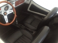 1969 Fiat Gamine for sale in Riverhead, New York (ID-125216)