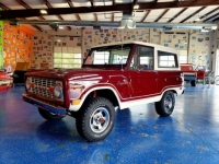 1969 Ford Bronco for sale in Michigan (ID-116780)