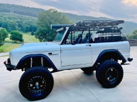 1969 Ford Bronco for sale in Michigan (ID-131638)