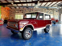 1969 Ford Bronco for sale (ID-116978)