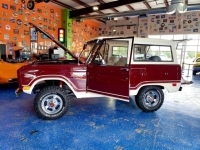 1969 Ford Bronco for sale (ID-116978)