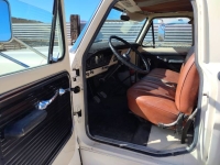 1969 Ford F500 for sale in Michigan (ID-145891)