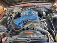 1969 Ford Galaxie 500 for sale in Michigan (ID-118141)