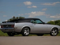 1969 Ford Mustang for sale in Riverhead, New York (ID-101935)