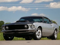 1969 Ford Mustang for sale in Riverhead, New York (ID-101935)