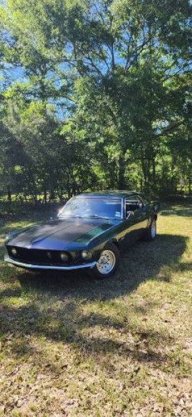 1969 Ford Mustang for sale in Michigan (ID-115552)