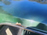 1969 Ford Mustang for sale in Michigan (ID-115552)