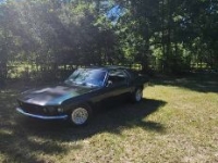 1969 Ford Mustang for sale in Michigan (ID-115552)