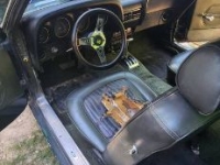 1969 Ford Mustang for sale in Michigan (ID-115552)
