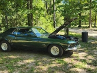 1969 Ford Mustang for sale in Michigan (ID-115552)