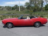 1969 Ford Mustang for sale in Michigan (ID-116710)