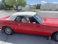 1969 Ford Mustang for sale in Michigan (ID-116710)