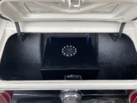 1969 Ford Mustang for sale in Michigan (ID-117461)