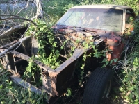 1969 Ford Mustang for sale in Midlothian, Texas (ID-118090)
