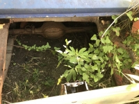 1969 Ford Mustang for sale in Midlothian, Texas (ID-118090)