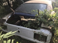 1969 Ford Mustang for sale in Midlothian, Texas (ID-118090)