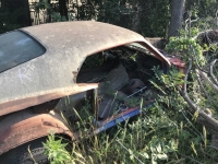 1969 Ford Mustang for sale in Midlothian, Texas (ID-118090)
