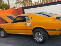 1969 Ford Mustang for sale in Michigan (ID-119106)