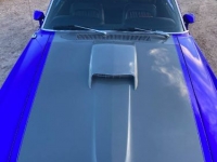 1969 Ford Mustang for sale in Michigan (ID-119233)
