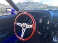 1969 Ford Mustang for sale in Michigan (ID-119233)
