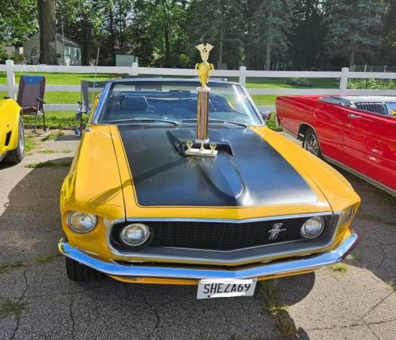 1969 Ford Mustang for sale in Michigan (ID-120311)