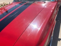 1969 Ford Mustang for sale in Michigan (ID-122149)