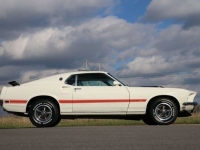 1969 Ford Mustang for sale in Riverhead, New York (ID-122530)