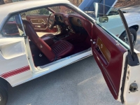 1969 Ford Mustang for sale in Michigan (ID-123074)