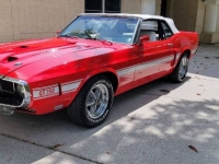 1969 Ford Mustang for sale in Michigan (ID-123906)