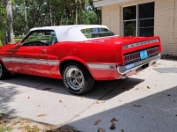 1969 Ford Mustang for sale in Michigan (ID-123906)