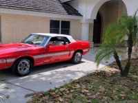 1969 Ford Mustang for sale in Michigan (ID-123906)