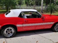 1969 Ford Mustang for sale in Michigan (ID-123906)