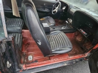 1969 Ford Mustang for sale in Michigan (ID-124467)