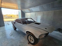 1969 Ford Mustang for sale in Michigan (ID-124476)