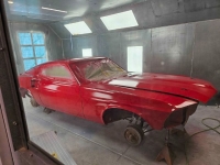 1969 Ford Mustang for sale in Michigan (ID-124476)