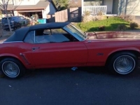 1969 Ford Mustang for sale in Michigan (ID-125269)