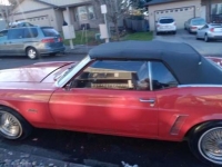 1969 Ford Mustang for sale in Michigan (ID-125269)