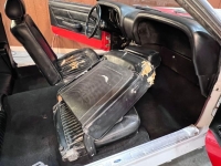 1969 Ford Mustang for sale in Michigan (ID-125292)