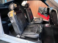 1969 Ford Mustang for sale in Michigan (ID-125292)