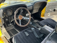1969 Ford Mustang for sale in Michigan (ID-125503)