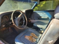 1969 Ford Mustang for sale in Michigan (ID-126552)