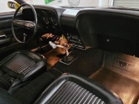 1969 Ford Mustang for sale in Michigan (ID-126664)