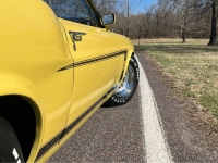 1969 Ford Mustang for sale in Michigan (ID-126664)