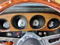 1969 Ford Mustang for sale in Michigan (ID-130572)