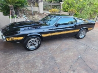 1969 Ford Mustang for sale in Michigan (ID-133163)