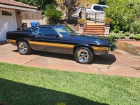 1969 Ford Mustang for sale in Michigan (ID-133163)